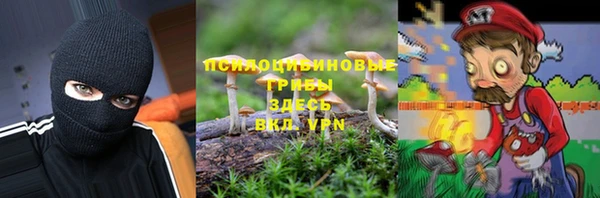 ECSTASY Алексеевка