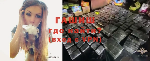 сатива Алзамай