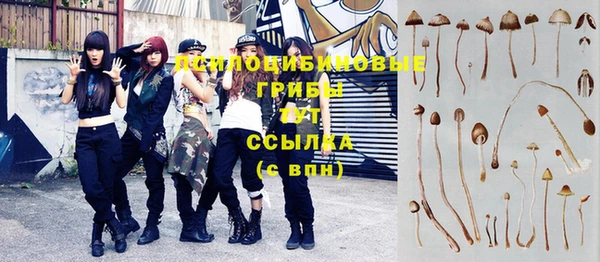 сатива Алзамай