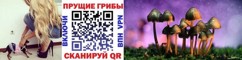 Псилоцибиновые грибы Psilocybine cubensis  Балей 